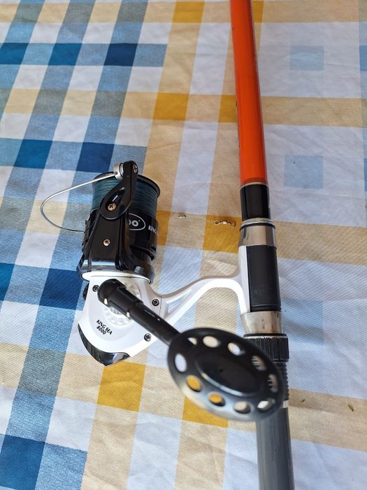 Conjunto de surfcasting