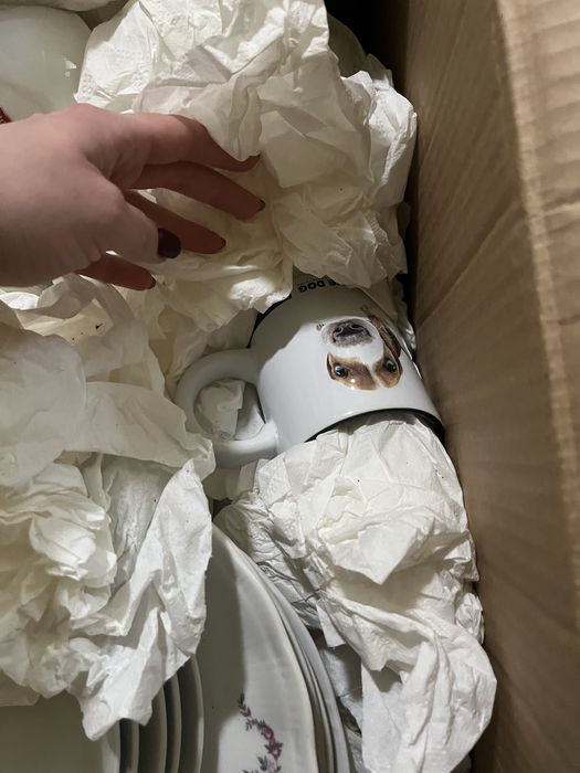 Talerze, kubki - oddam za darmo