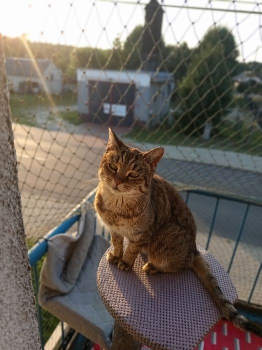 Marysia szuka rodziny