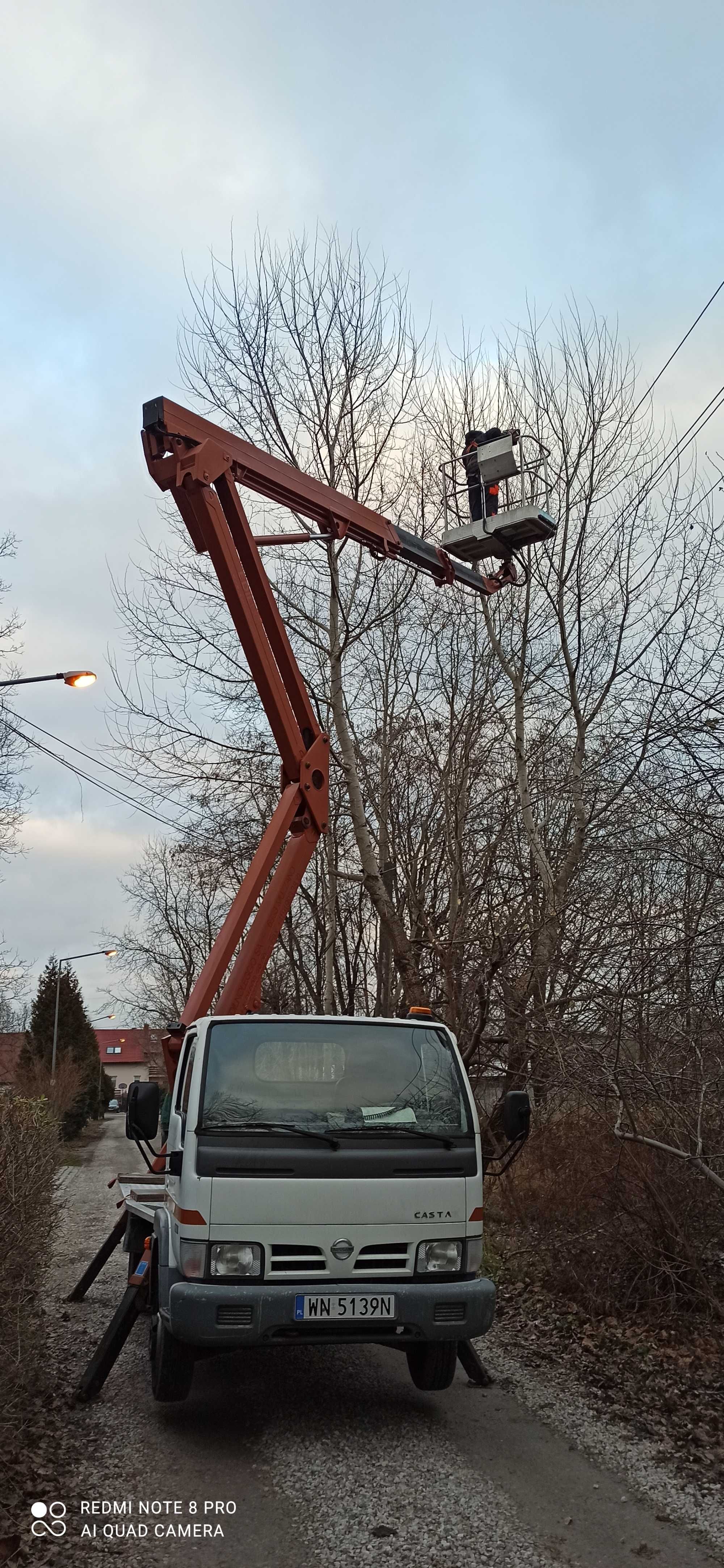 Wycinka i przycinanie drzew z użyciem podnośnika koszowego