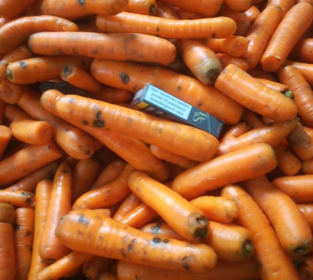 Odpady marchewki buraka i ziemniaka