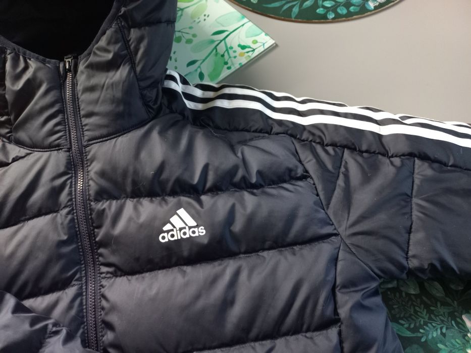 Kurtka puchowa adidas męska,chłopięca Odświeżona