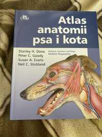 Atlas anatomii psa i kota