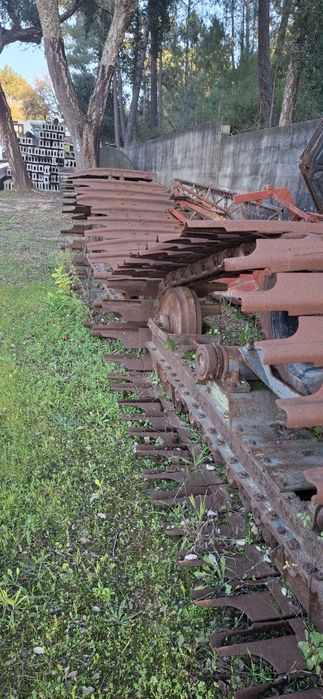 RASTOS (Lagartas) de Ceifeira Debulhadoura