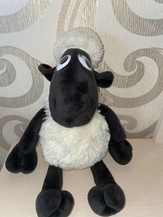 Баранчик Шон є дефект