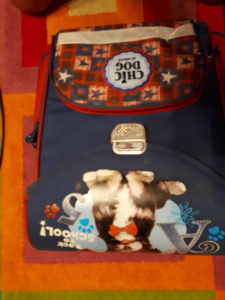 Plecak tornister niebieski usztywniane plecy chic dog at school