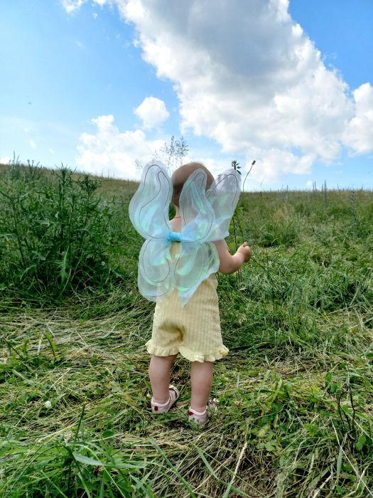 Крила феї, метелика ручної роботи