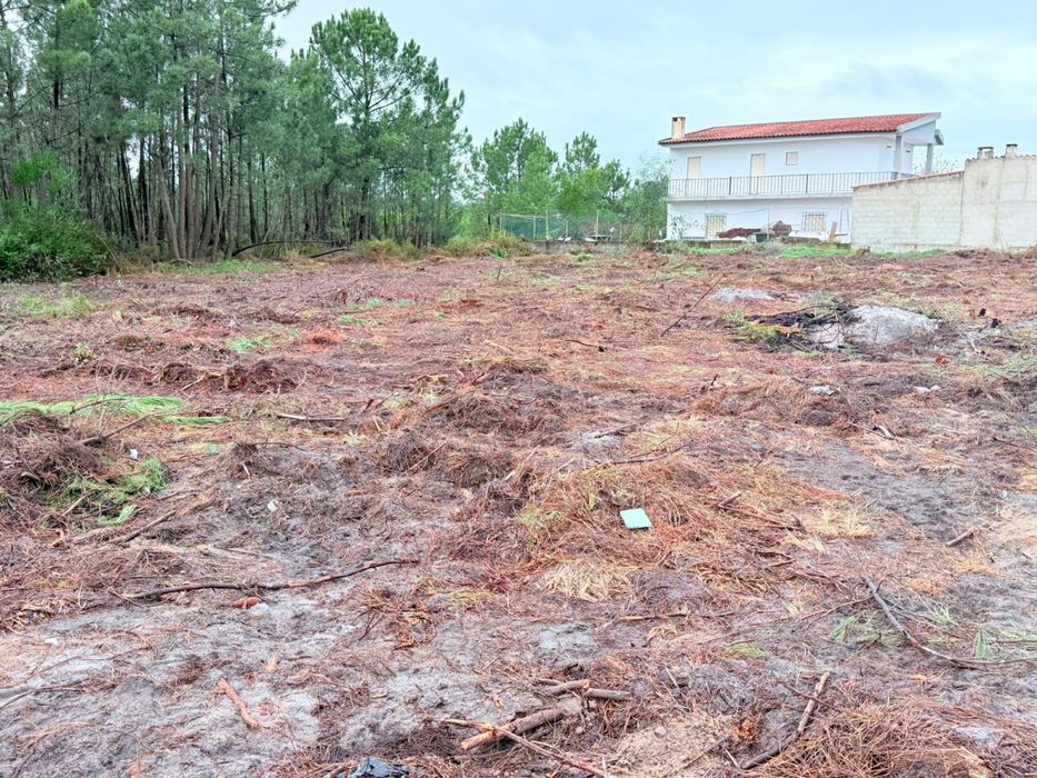 Terreno rustico na lobateira