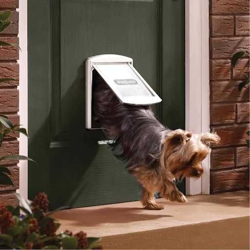 PetSafe® Staywell® Original Drzwiczki dla zwierząt 35 x 29 cm