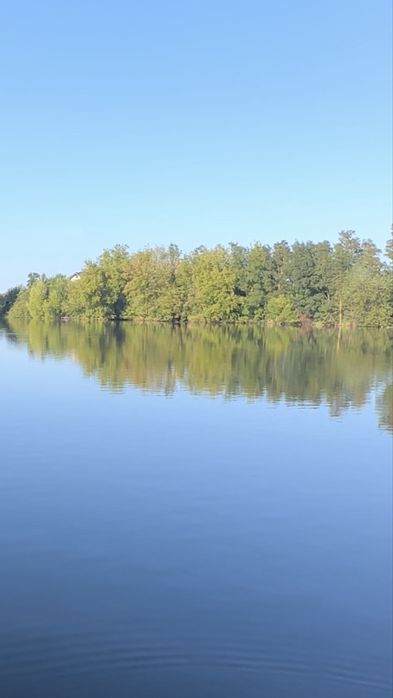 Оренда будинку, ферми, склад, територія, корівник, поле для випасу