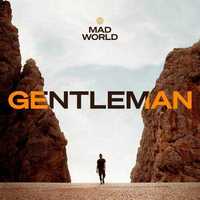 Mad World Gentelman winyl