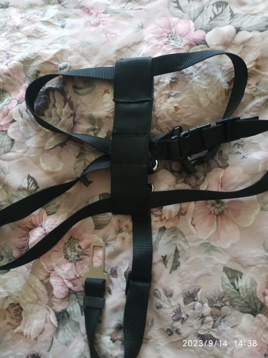 Шлейка для собак