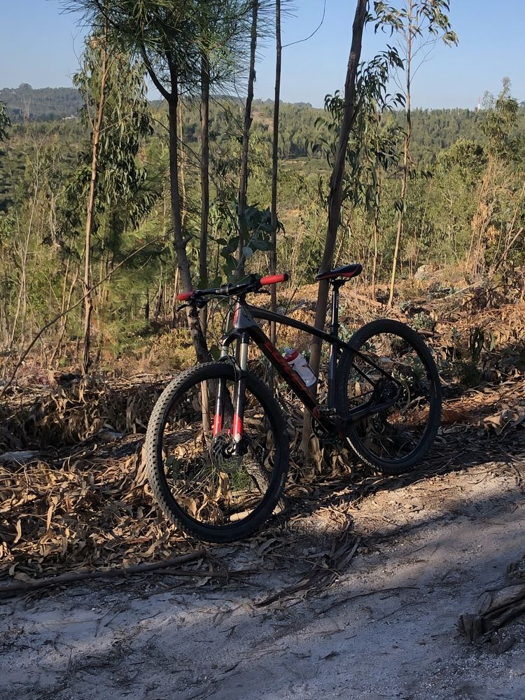 Bicicleta coluer em carbono roda 29