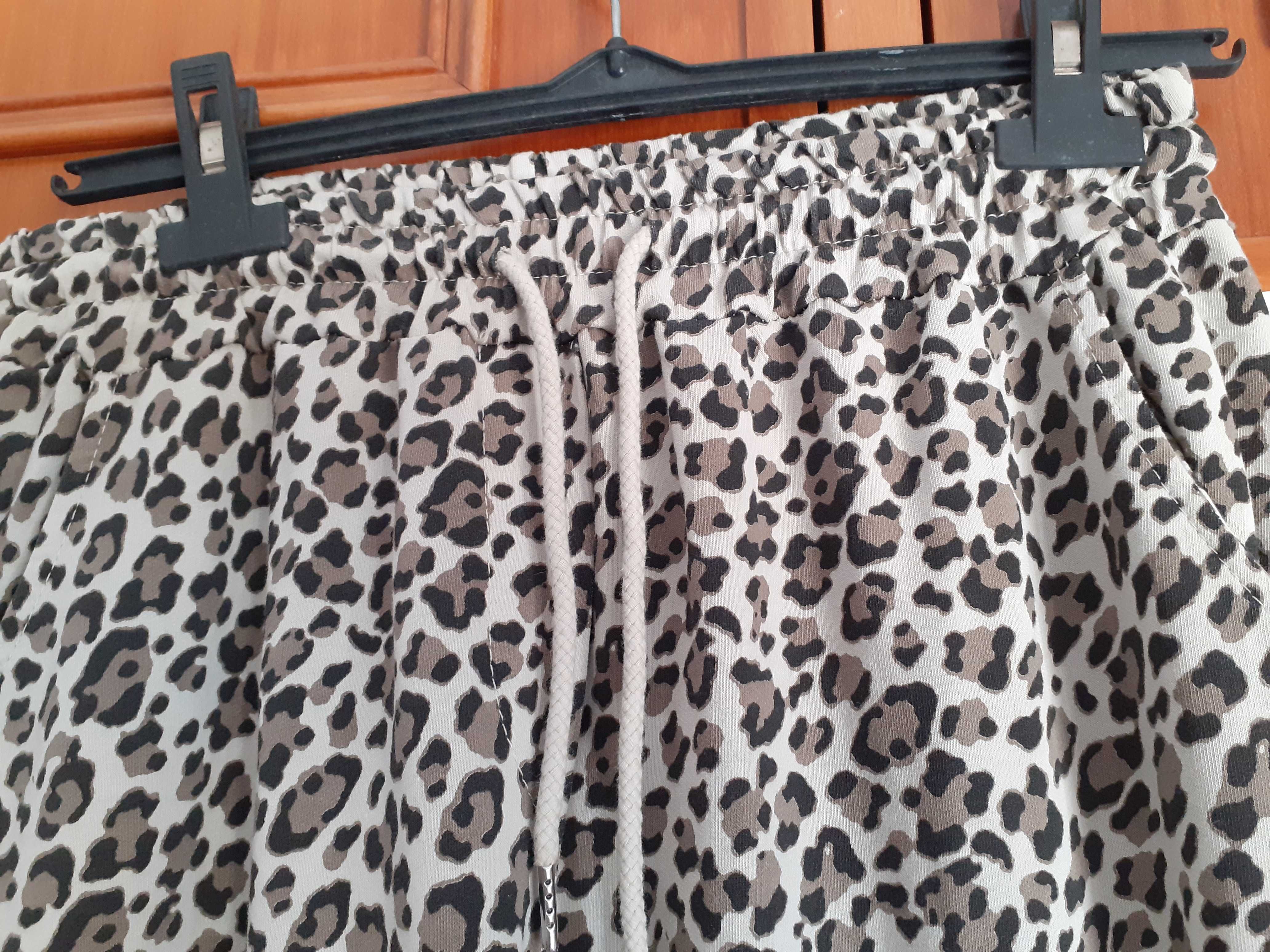 Conjunto Padrão Animal TU