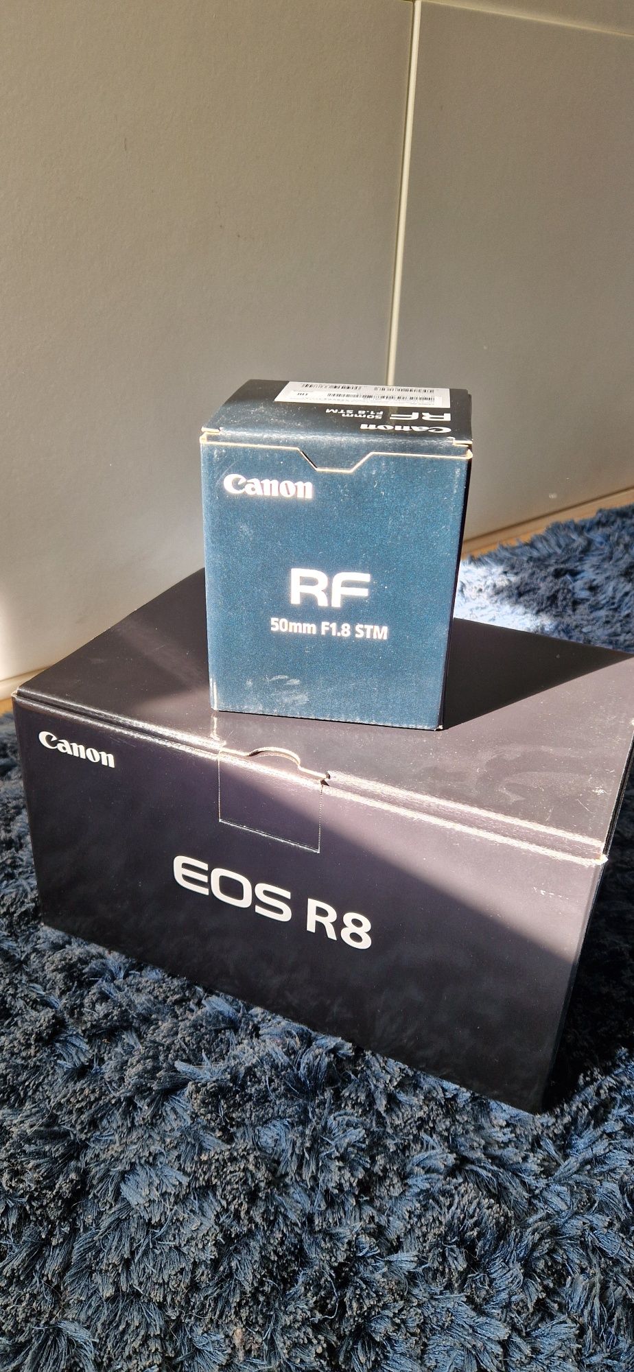Canon R8  Full Frame + RF50MM1.8 (conjunto) Ler descrição