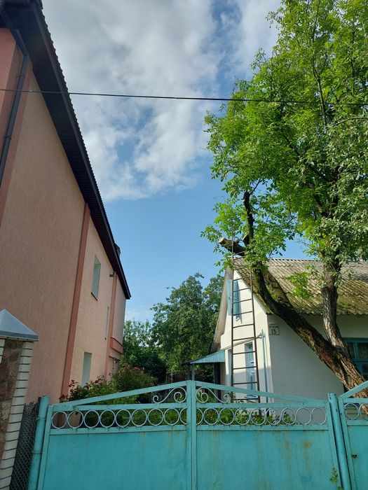 Зрізання дерев . Омолджування,санітарна обрізка