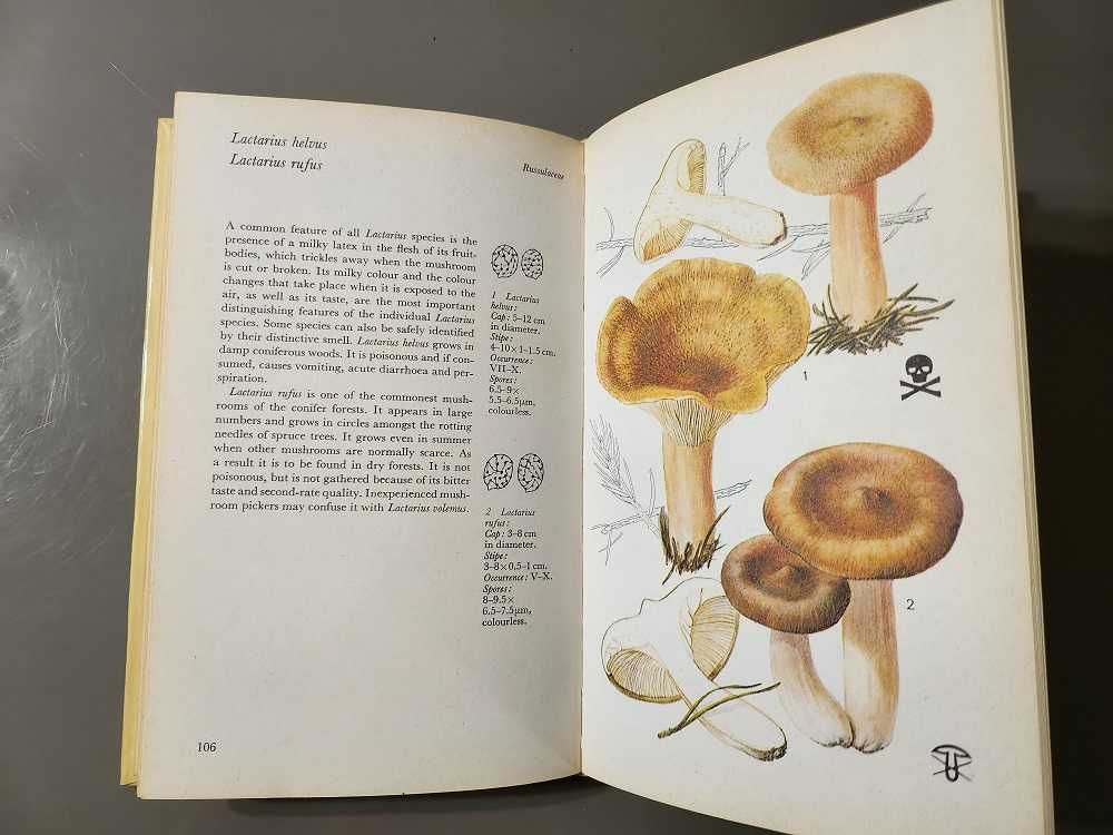Mushrooms Grzyby (Przewodnik terenowy Magna) w języku angielskim