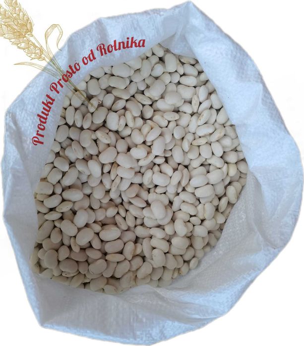 Fasola Jaś Opakowanie 5 kg wysyłka natychmiast Inpost