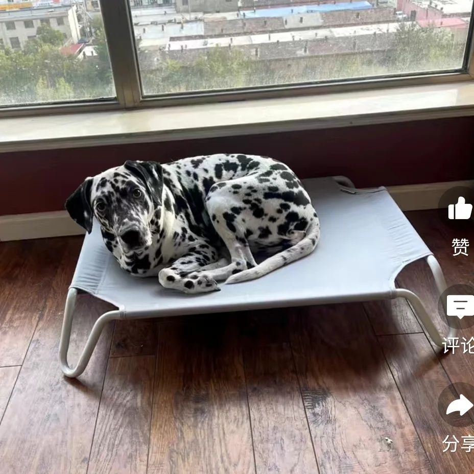 Лежак для собак 80×60×15 см (до 30 кг)