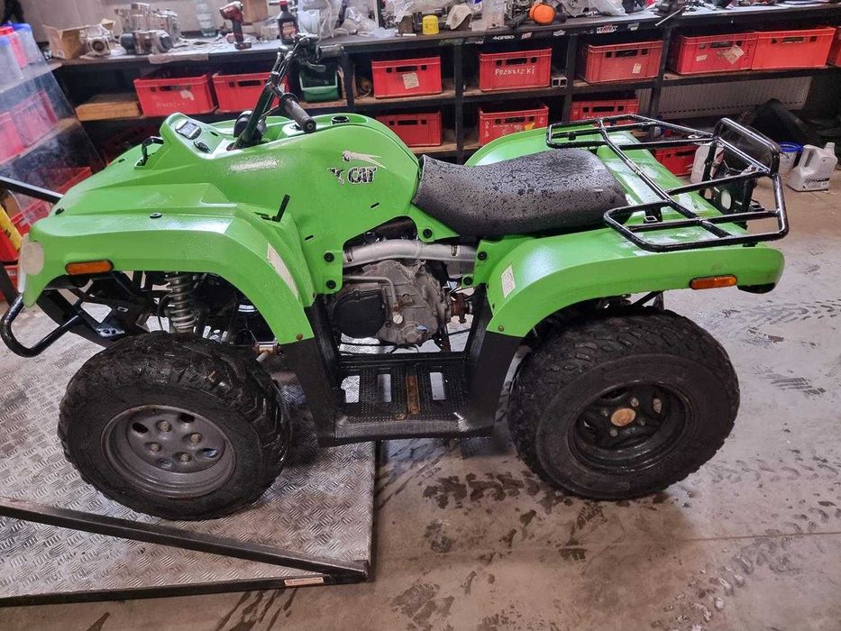 Komplet Plastików Arctic Cat 400 części 450 silnik głowica wał Serwis