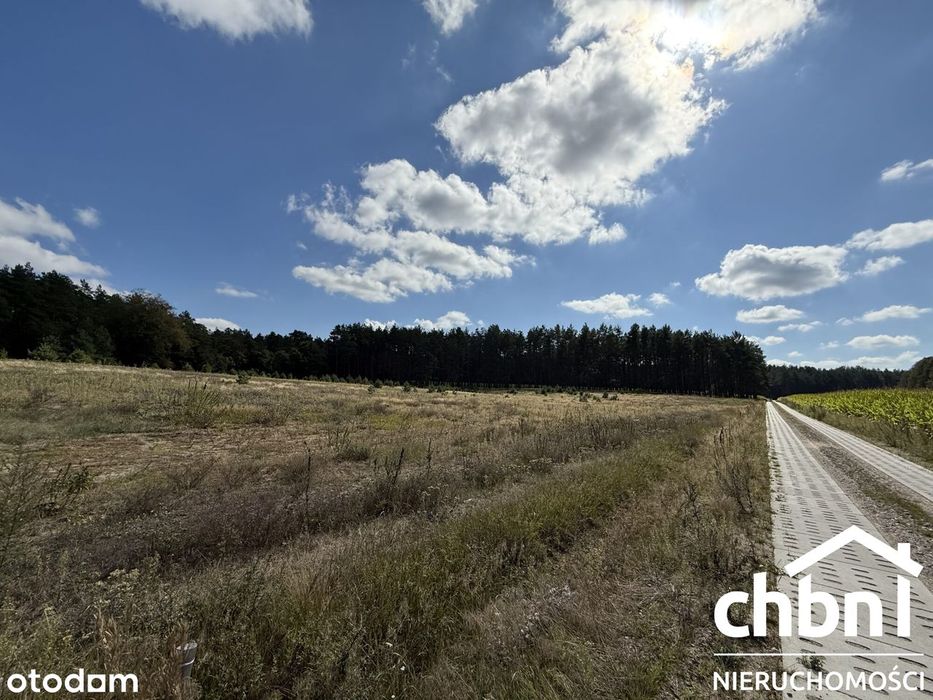 Okazja! Duża działka 3178 m² – Kaszuby