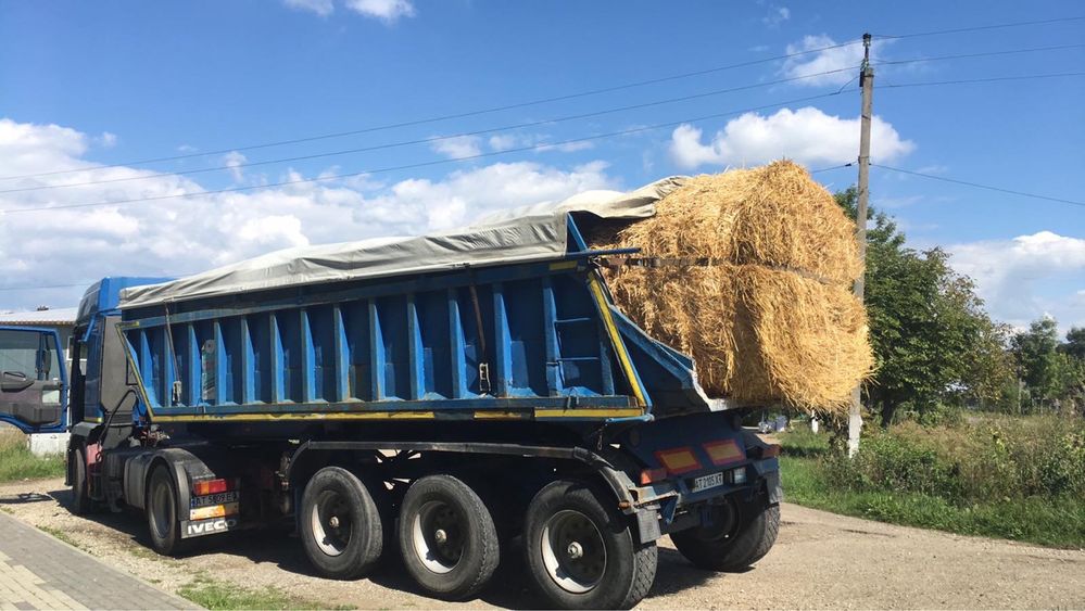 Здам в оренду прокат напівприцеп самосвал.