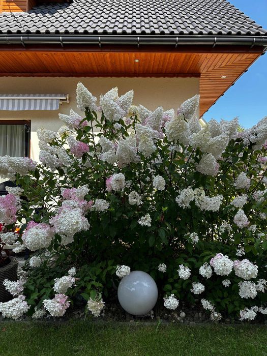 Domki Brenna 8 i 12 osobowe