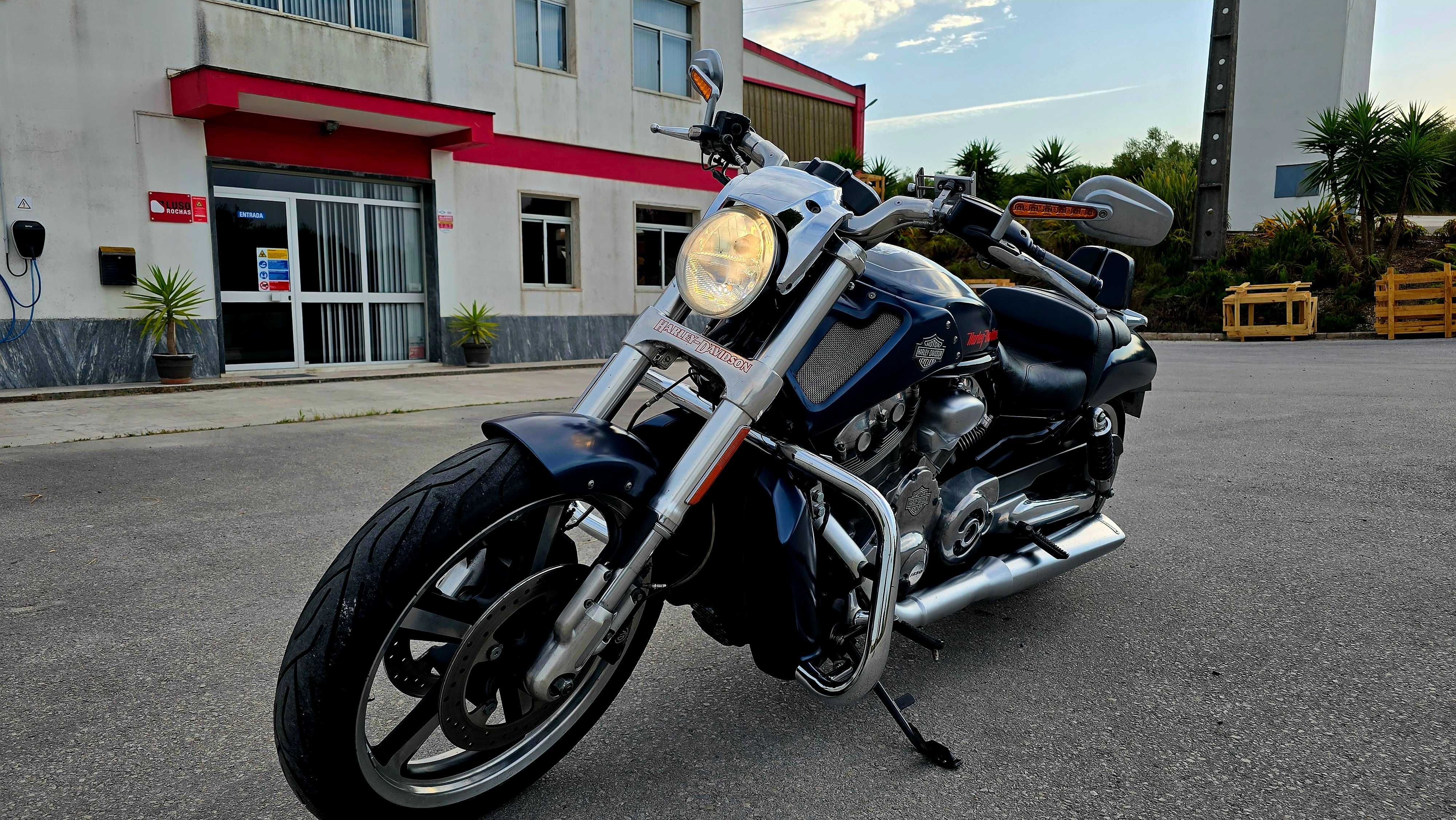 Harley Davidson V-Rod Muscle – Apenas 14.000 km