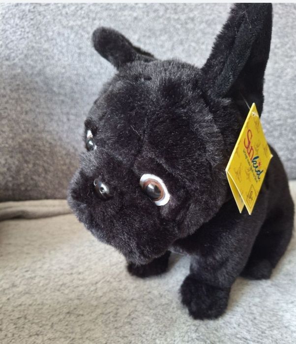 Buldog pluszowy pies