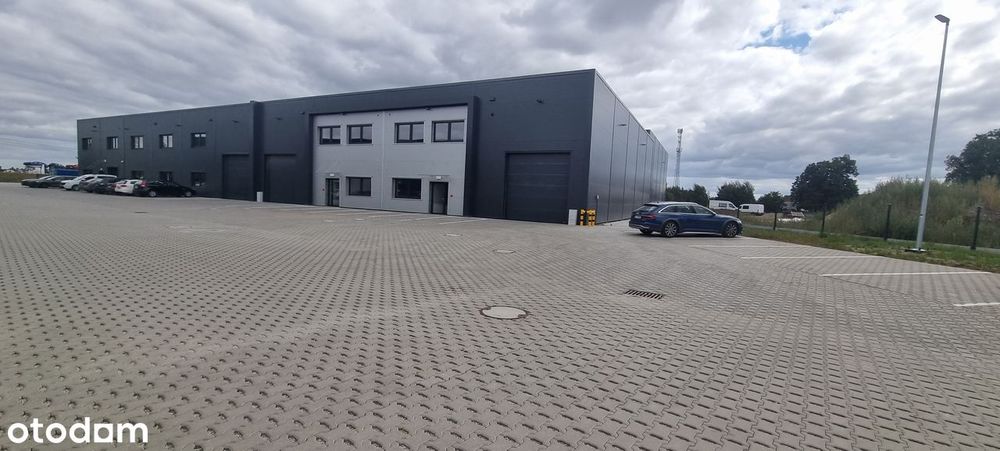Nowa Hala przy S11 - Zakrzewo