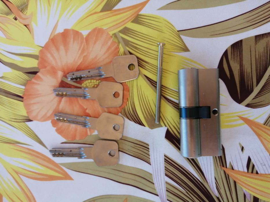 Cilindro de fechadura de segurança BASI