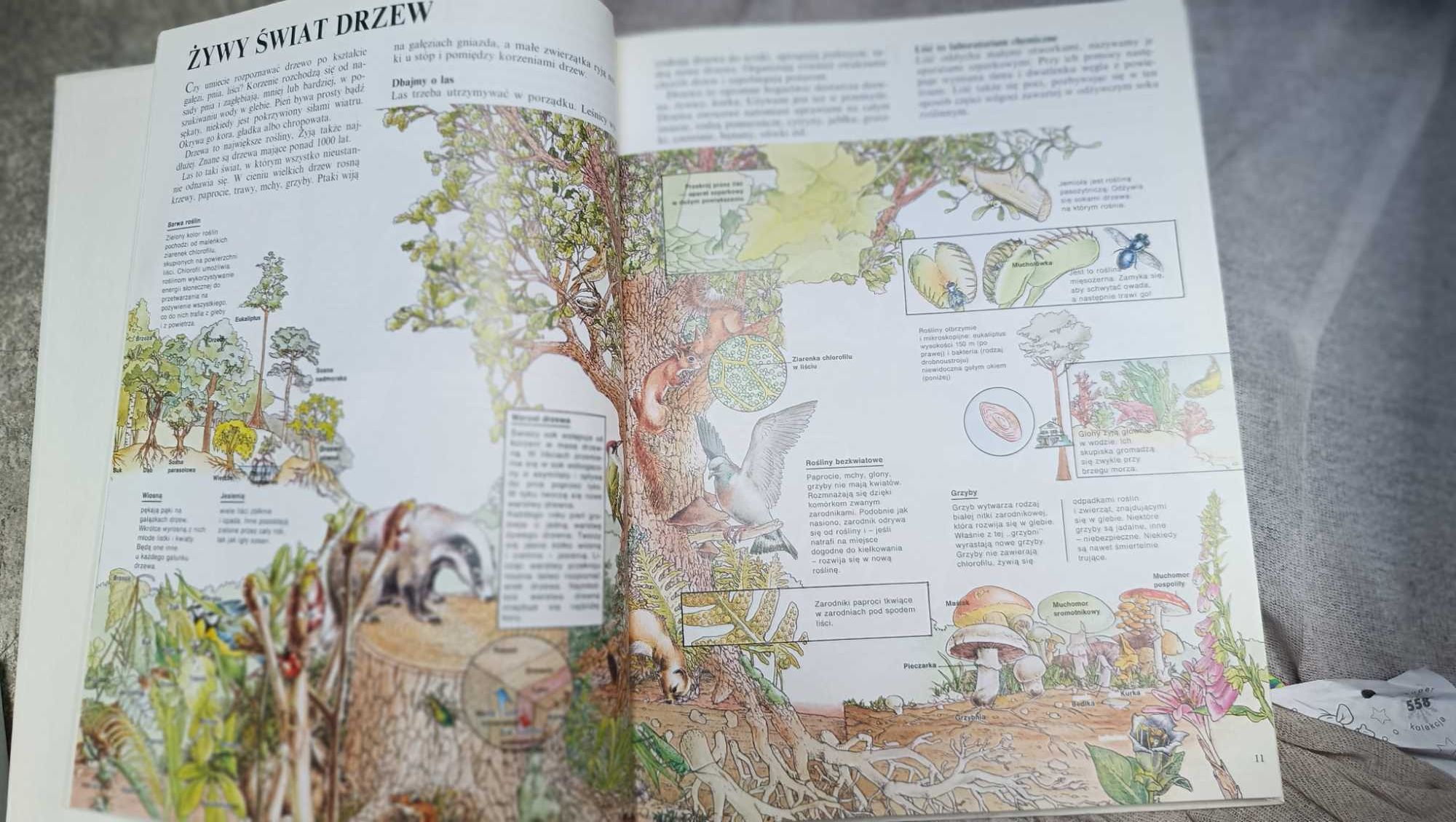 Moja pierwsza encyklopedia