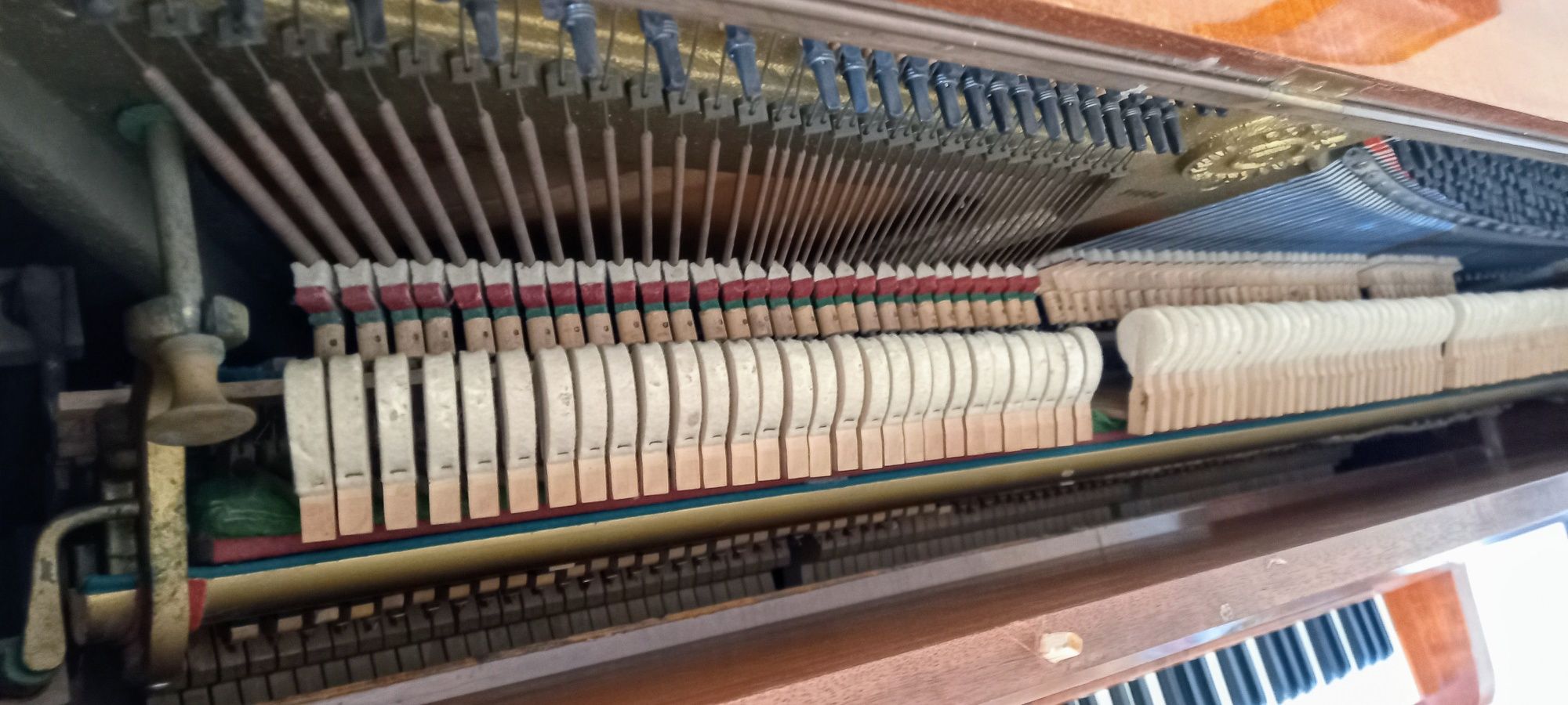 Pianino Calisia w dobre ręce
