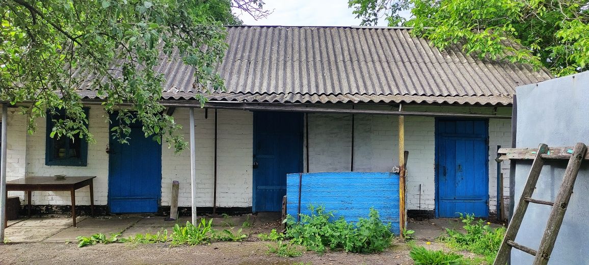 Продається будинок в с. Куми