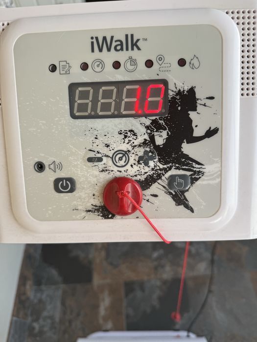 Passadeira eletrica iwalk