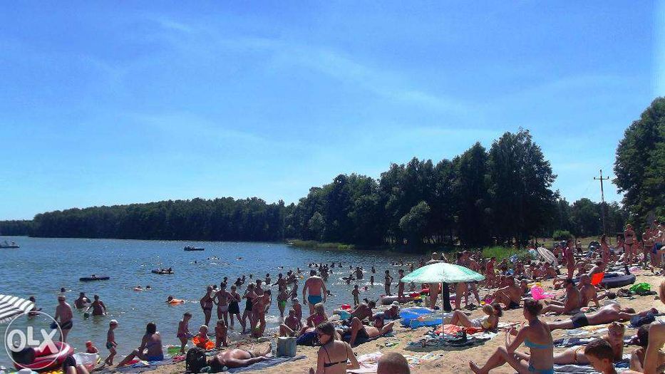 Domki w Skrzynkach
