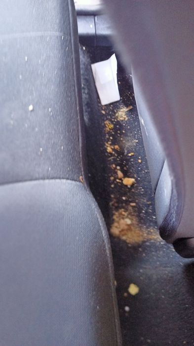 Limpeza de veículos