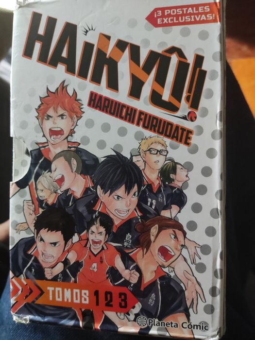 Mangá-haikyû haruichi furudate