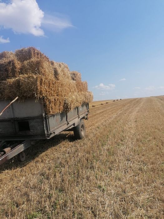 Słoma w kostkach i baloty ze slomy