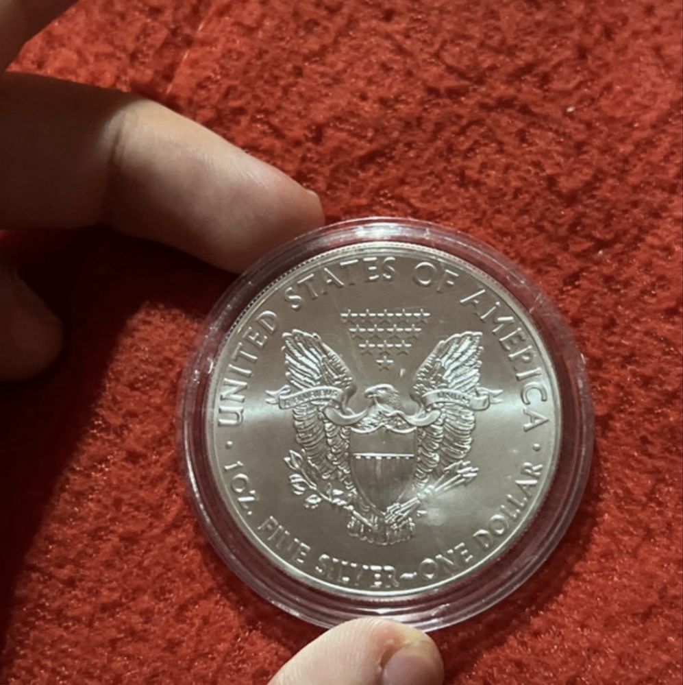 moeda-dolar americano prata