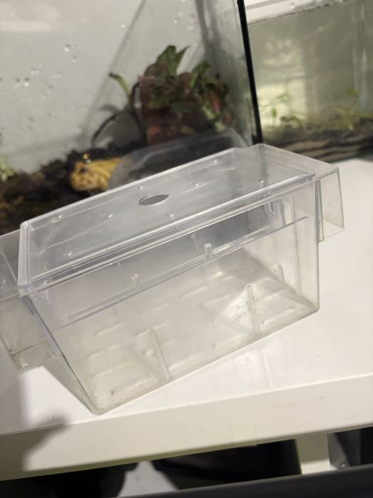 Małe akwarium + kotnik