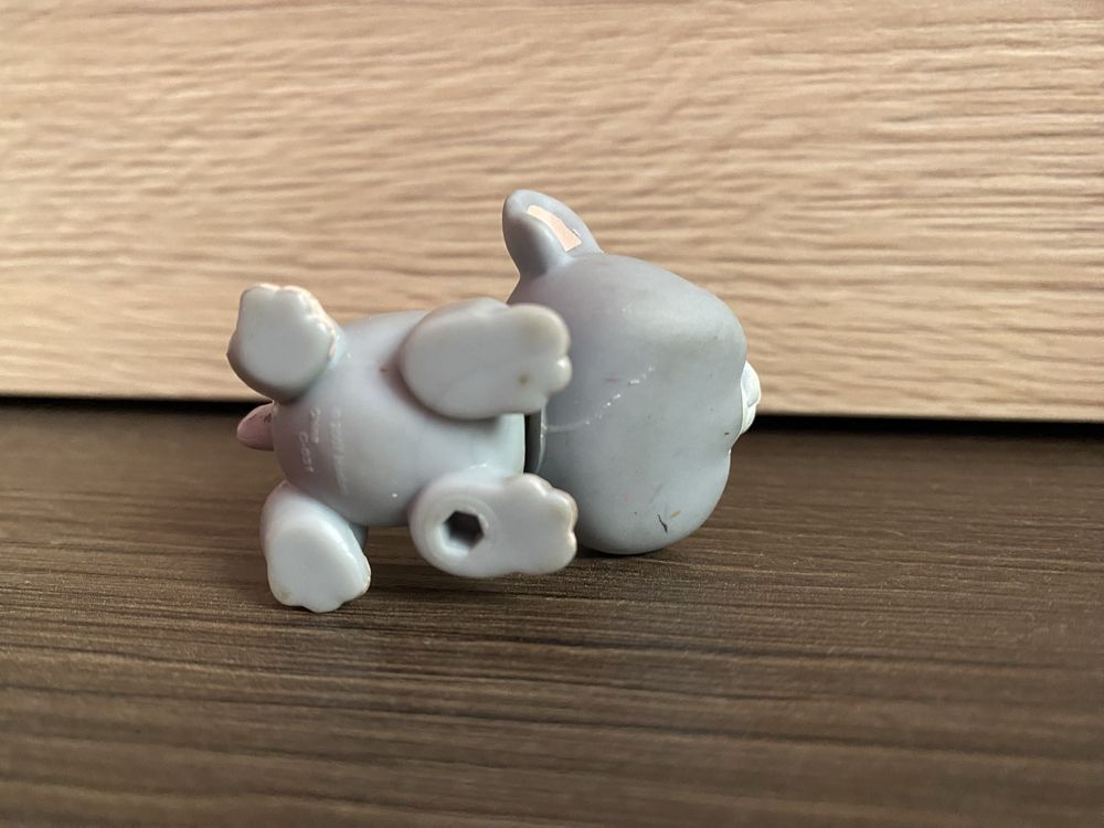 LPS Littlest pet shop świnka morska #1368
