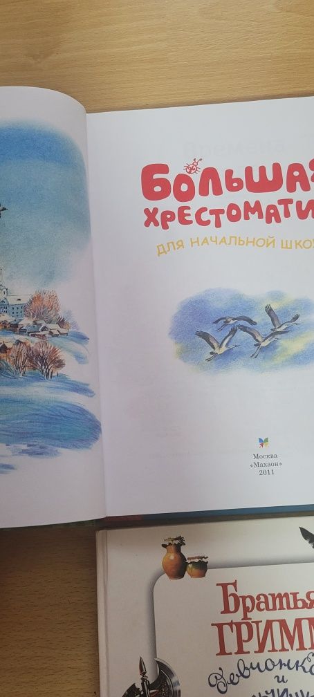 Большая хрестоматия,  Большая книга незнайки , Братья Гримм , Маугли .