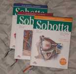 Atlas anatomii człowieka Sobotta