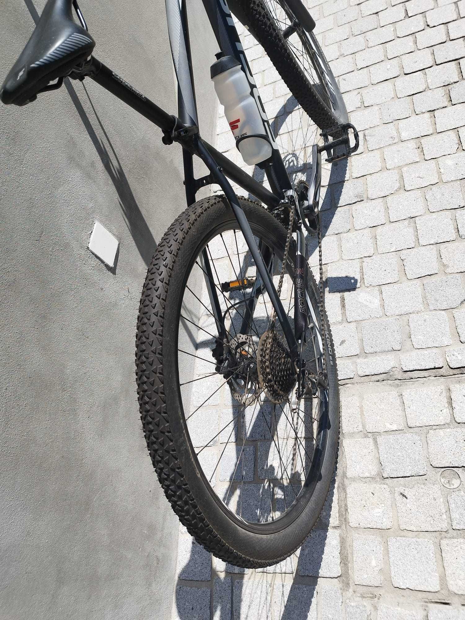 Bicicleta Focus Whistler Lite 2018 29"