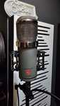 Lauten Audio LT-386 Eden