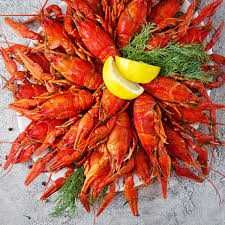 Продам живий свіжі раки