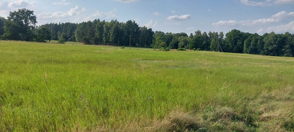 Sprzedam działkę rolną w Rynarcicach