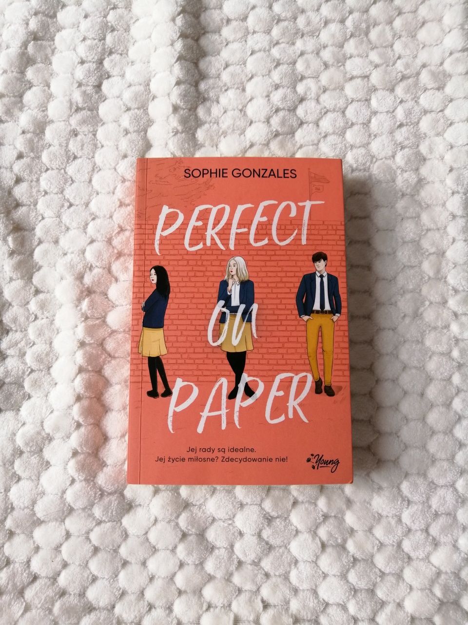 Perfect on paper - Sophie Gonzales