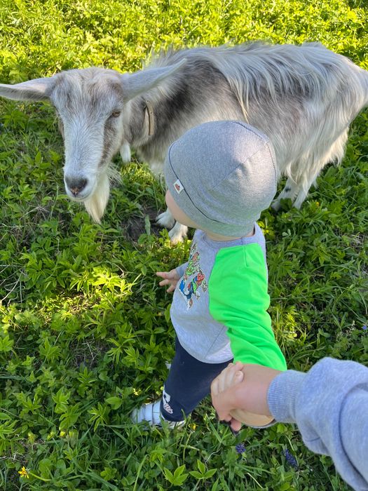 Продається коза. 3 роки.